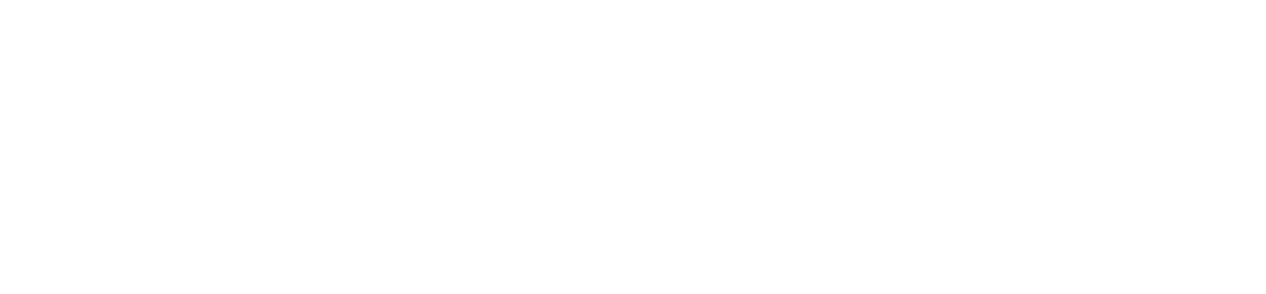Sanigroup